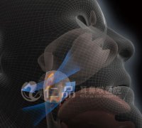 透亮数字术