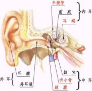 儿童中耳炎症状