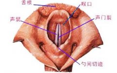慢性咽炎不治疗的危害
