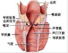 急慢性喉炎的危害怎么治