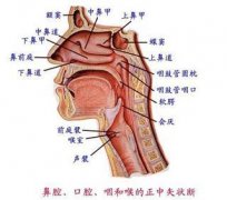 慢性鼻炎怎么治疗好